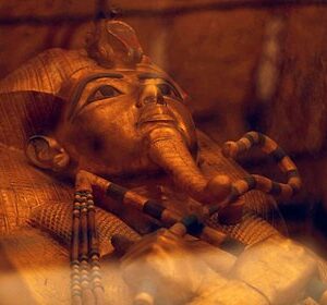Установлена-причина-смерти-первооткрывателей-гробницы-Тутанхамона