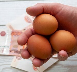 Минсельхоз-России-спрогнозировал-снижение-цен-на-яйца-в-ближайшее-время