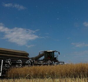 Фермеры-в-ЕС-призвали-ограничить-импорт-украинской-агропродукции