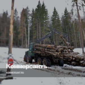 Гаишников-довели-до суда-//-Экс-сотрудники-ДПС-в Иркутске-обвиняются-во взятках-в-обмен-на покровительство-черным-лесорубам