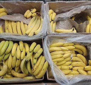 В-России-ограничили-поставки-бананов-из-Эквадора