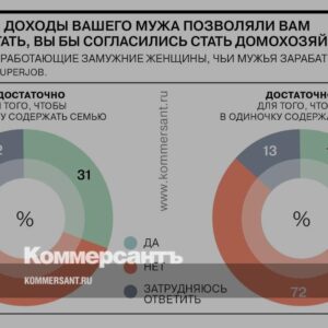 Большинство-замужних-россиянок-не-готовы-стать-домохозяйками-//-Инфографика