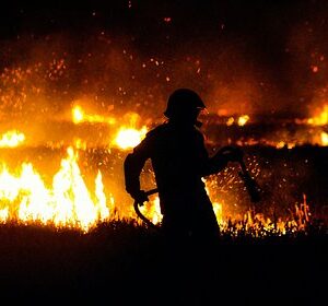 Масштабы-грядущих-лесных-пожаров-в-России-оценили