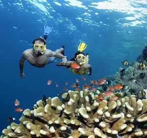 Большой-Барьерный-риф-пострадал-от-рекордного-обесцвечивания-кораллов