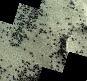 На-Марсе-обнаружили-сотни-черных-«пауков»