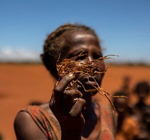 Сильнейшая-засуха-лишила-африканскую-страну-почти-всего-урожая-кукурузы