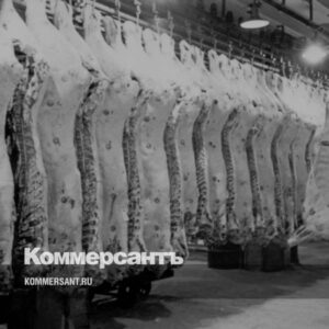 «Мясопромышленники-держат-цены»-//-Какой-продукт-назывался-«мясом-в пальто»