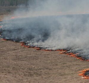 В-российском-регионе-вспыхнул-пожар-после-атаки-беспилотников