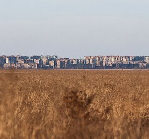 Военный-эксперт-дал-прогноз-по-взятию-под-контроль-России-Угледара