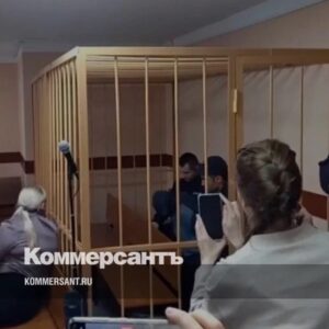 Склонен-к-животным-//-Похититель-трех-кенгурят-арестован,-несмотря-на-возможное-психическое-заболевание